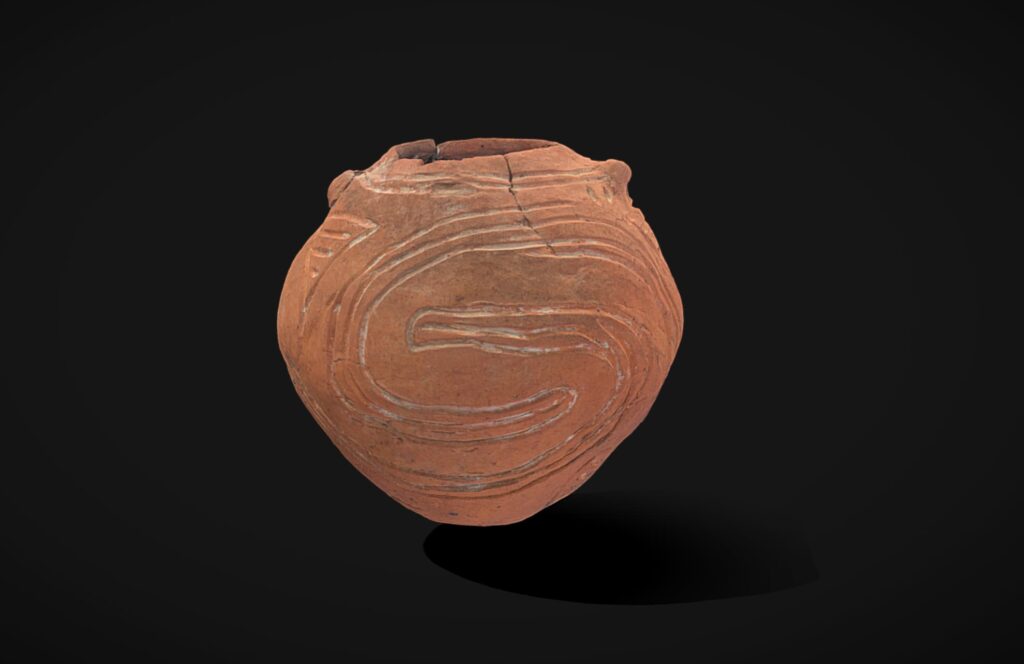 Грушоподібна посудина